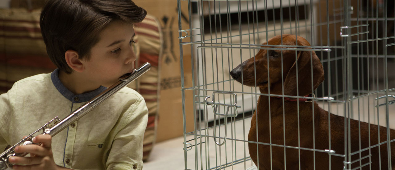 Wiener Dog Movie Review