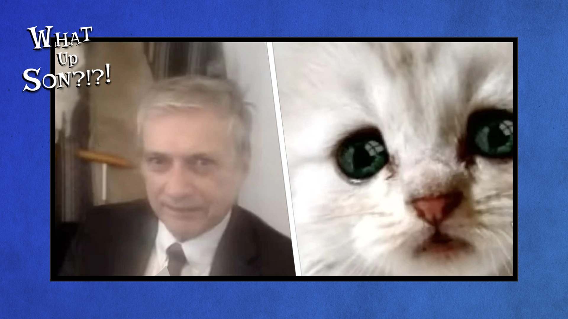 LAWYER GETS STUCK WITH CAT FILTER AND MORE What Up, Son?! LIVE 9